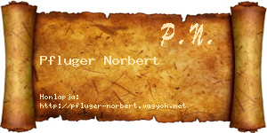 Pfluger Norbert névjegykártya